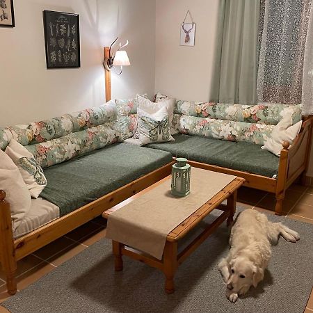 Hundefreundliche Bergwohnung Neben Der Skipiste - Mittelstation Skigebiet Gerlitzen Kanzelhohe Екстер'єр фото