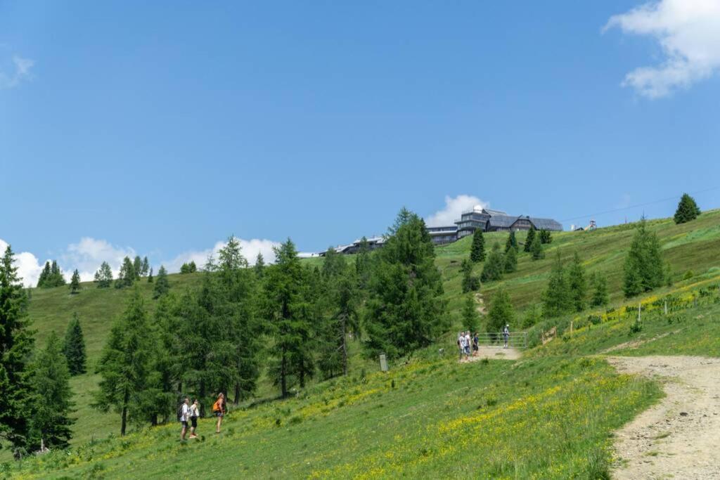 Hundefreundliche Bergwohnung Neben Der Skipiste - Mittelstation Skigebiet Gerlitzen Kanzelhohe Екстер'єр фото