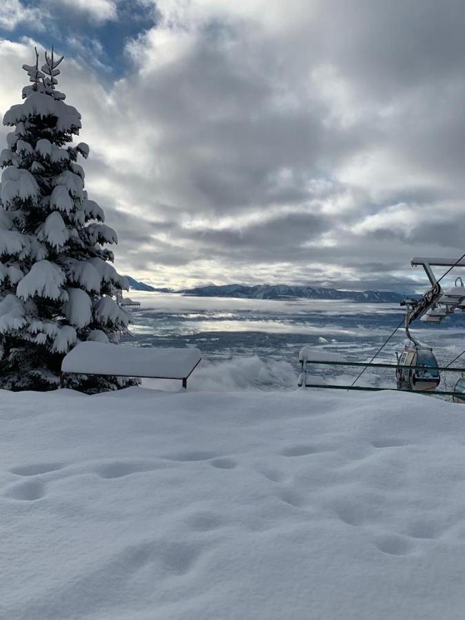 Hundefreundliche Bergwohnung Neben Der Skipiste - Mittelstation Skigebiet Gerlitzen Kanzelhohe Екстер'єр фото