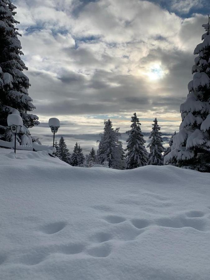Hundefreundliche Bergwohnung Neben Der Skipiste - Mittelstation Skigebiet Gerlitzen Kanzelhohe Екстер'єр фото
