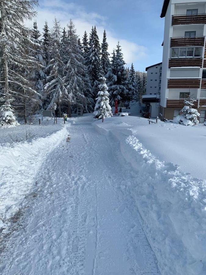 Hundefreundliche Bergwohnung Neben Der Skipiste - Mittelstation Skigebiet Gerlitzen Kanzelhohe Екстер'єр фото