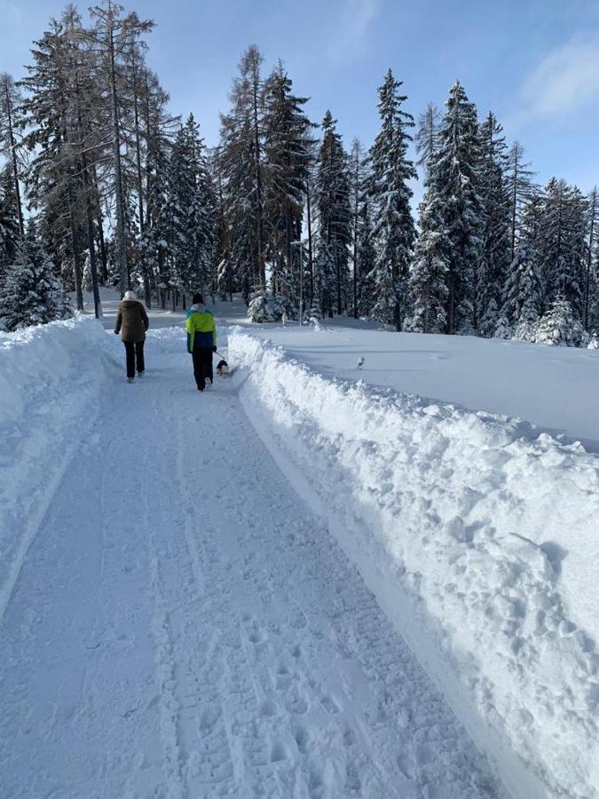 Hundefreundliche Bergwohnung Neben Der Skipiste - Mittelstation Skigebiet Gerlitzen Kanzelhohe Екстер'єр фото