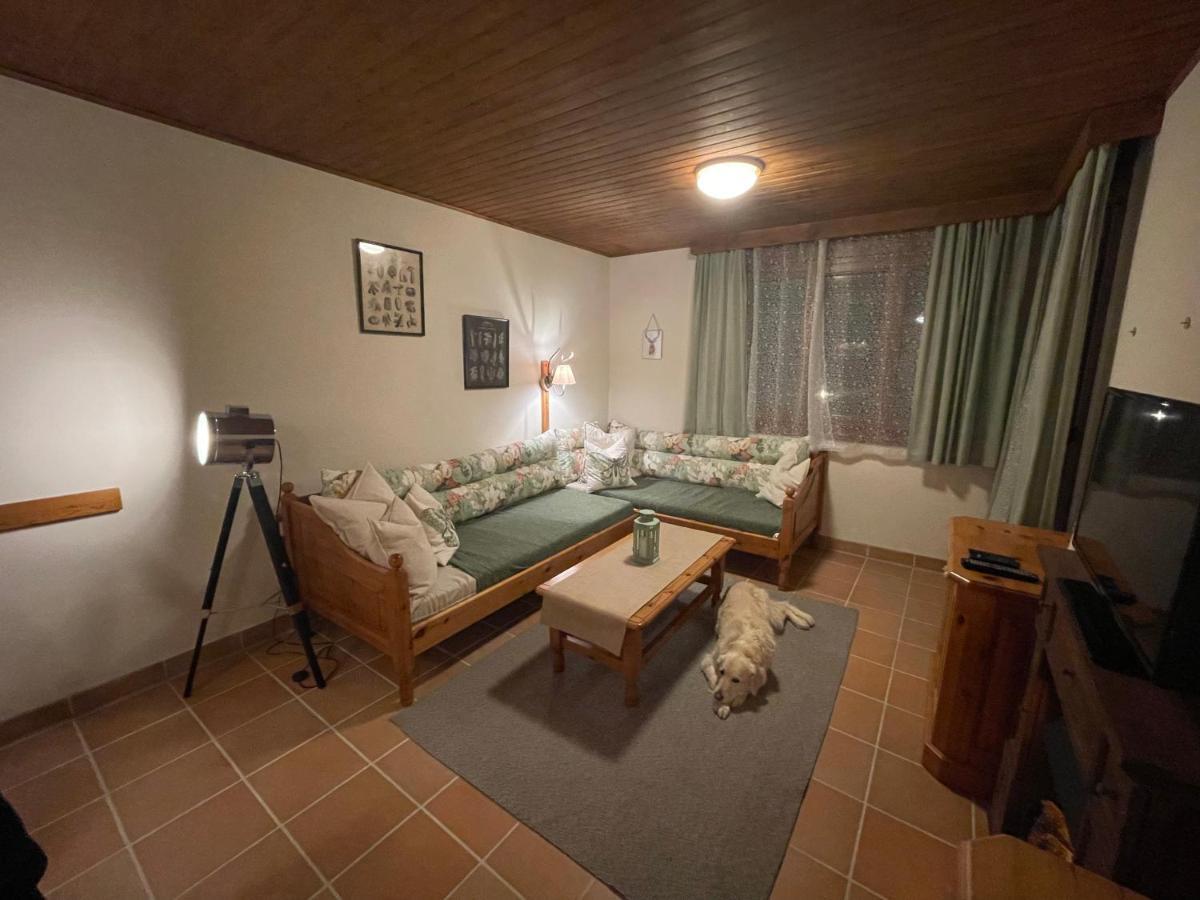 Hundefreundliche Bergwohnung Neben Der Skipiste - Mittelstation Skigebiet Gerlitzen Kanzelhohe Екстер'єр фото