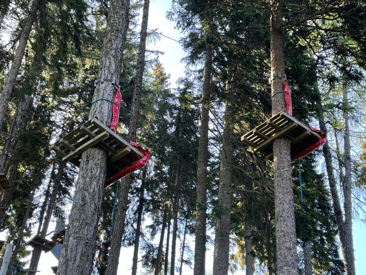Hundefreundliche Bergwohnung Neben Der Skipiste - Mittelstation Skigebiet Gerlitzen Kanzelhohe Екстер'єр фото