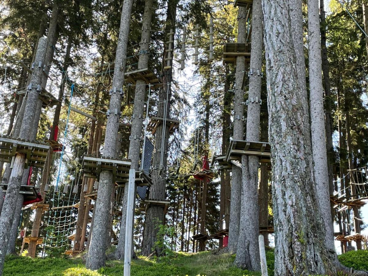 Hundefreundliche Bergwohnung Neben Der Skipiste - Mittelstation Skigebiet Gerlitzen Kanzelhohe Екстер'єр фото